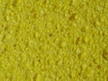 Texture of a porous yellow sponge in close-up as background Royalty Free Stock Photo