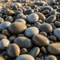 Texture is predominantly smooth characteristic of river or beach Royalty Free Stock Photo