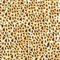 Texture of print fabric striped leopard for background Royalty Free Stock Photo