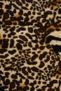 Texture of print fabric striped leopard for background Royalty Free Stock Photo