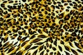 Texture of print fabric striped leopard for background Royalty Free Stock Photo