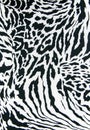 Texture of print fabric striped zebra and leopard for background Royalty Free Stock Photo