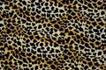 Texture of print fabric stripes leopard for background Royalty Free Stock Photo