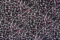 Texture of print fabric stripes leopard for background Royalty Free Stock Photo