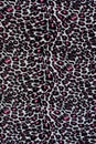 Texture of print fabric stripes leopard for background Royalty Free Stock Photo