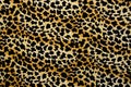 Texture of print fabric stripes leopard for background Royalty Free Stock Photo