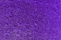 Texture of a purple grass decorative lawn.