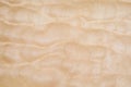 Texture of Quilted Maple Royalty Free Stock Photo