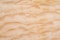Texture of Quilted Maple Royalty Free Stock Photo