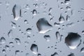 The texture of rain drops on the glass close-up. Macro transparent water drops on white background Royalty Free Stock Photo
