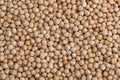 Texture of raw chickpeas legume