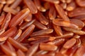 Texture of raw long grains of red rice, healthy food Royalty Free Stock Photo