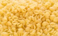 The texture of raw macaroni closeup Royalty Free Stock Photo