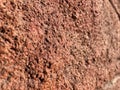 texture of a real brown wall, rough background concept Royalty Free Stock Photo