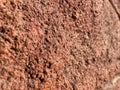 texture of a real brown wall, rough background concept