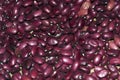 Texture of red beans close up Royalty Free Stock Photo