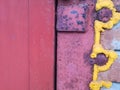 Texture of a red brick wall between painted iron forts. background brick wall Royalty Free Stock Photo