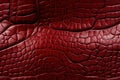 texture of red crocodile leather with seamless pattern. Genuine natural animal skin Royalty Free Stock Photo