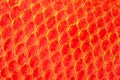 Texture of red fish skin