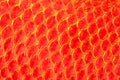 Texture of red fish skin Royalty Free Stock Photo