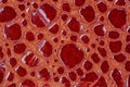 Texture of red genuine patent leather close-up, embossed under the skin a reptile. Fashionable background Royalty Free Stock Photo