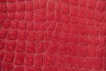 Texture of red genuine patent leather close-up, embossed under the skin reptile. Modern pattern, wallpaper or banner Royalty Free Stock Photo