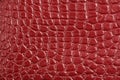 Texture of red maroon genuine leather, like crocodile skin Royalty Free Stock Photo