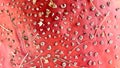 the texture of red mushroom fly agaric