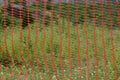 Texture of red plastic mesh fence on a background Royalty Free Stock Photo
