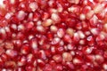 Texture of red pomegranate seeds laid out on the surface