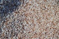 Texture of Red Rice Grains Royalty Free Stock Photo
