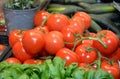 Texture of red round tomatoes Royalty Free Stock Photo