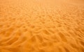 Texture of Red Sand Dunes Binh Thuan desert Royalty Free Stock Photo