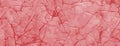 Texture of the red skin, the effect of crumpled paper, the structure of granite, stone with cracks. Vector for texture, textiles,