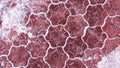 The texture of the red tiles on a city footpath, winter background Royalty Free Stock Photo