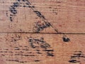 Xture. texture of red wood planks wall, rustic structure with traces of bitumen covered. Royalty Free Stock Photo