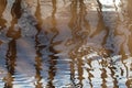 Texture with reflection of blue sky and tree trunks with abstract lines in water. Royalty Free Stock Photo