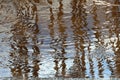 Texture with reflection of blue sky and tree trunks with abstract lines in water. Royalty Free Stock Photo