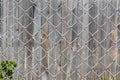 Texture of Rhombic cells of a white metal lattice is in the sunny day in the summer park on the gray wood background