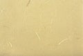 Texture rice Chinese paper. Yellow color Royalty Free Stock Photo