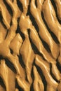 Texture of ridges in sand Royalty Free Stock Photo