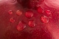 Texture of pomegranate peel with droplets on the surface