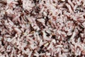Texture of ripe rice berry. Royalty Free Stock Photo