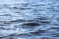 Texture ripples lake Royalty Free Stock Photo