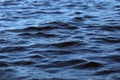 Texture ripples lake Royalty Free Stock Photo