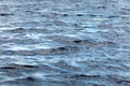 Texture ripples lake Royalty Free Stock Photo