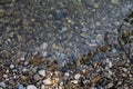 Texture river pebble