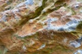 The texture of the rock, the background, the type of rock.