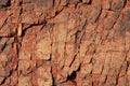 Texture of Rock Royalty Free Stock Photo