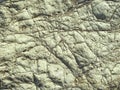 Texture. rock formation on the sea. a stone made of sand, a large boulder lies on the beach. stone with cracks and damage, ancient